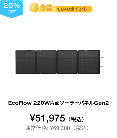 EcoFlow 220W片面ソーラーパネル