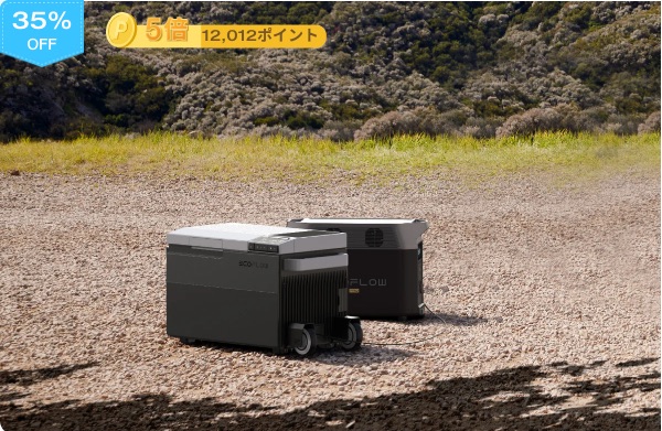 EcoFlow DELTA Pro + 専用エクストラバッテリー