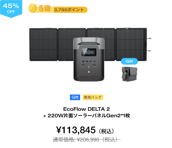 EcoFlow DELTA 2 + 220W片面ソーラーパネルGen2*1枚【40%OFF】