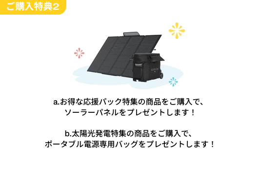 購入特典②｜対象商品にソーラーパネル・専用バッグプレゼント